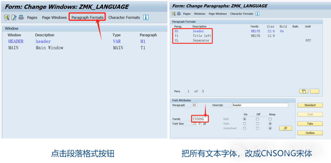 Global 项目 ABAP 多语言开发技术总结 - 封面图