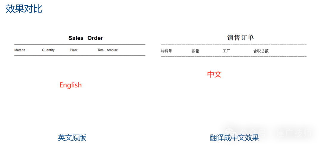 Global 项目 ABAP 多语言开发技术总结 - 封面图