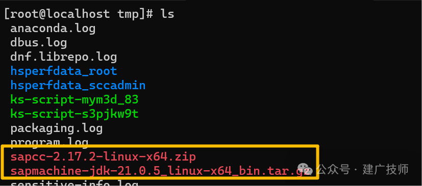 一命速通国服 CPI 部署全流程在 BTP 上部署 CPI 和本地服务器上实现 Nginx 反代 - 封面图