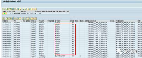 MDG 标准数据模型 MM 字段增强 - 封面图