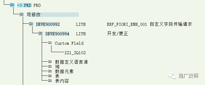 Fiori Customer Fieldsand Logic 扩展实施 - 封面图