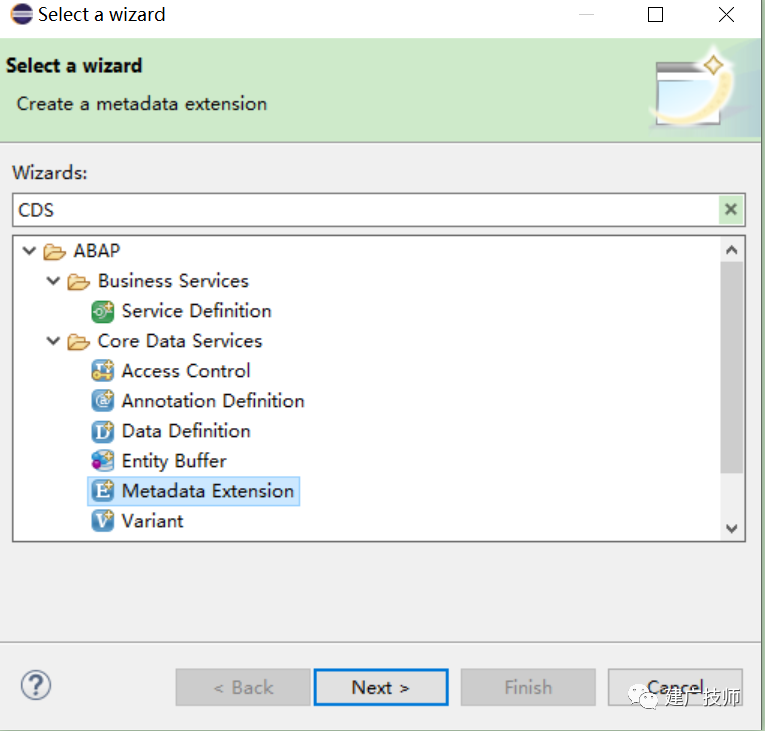 Fiori Customer Fieldsand Logic 扩展实施 - 封面图
