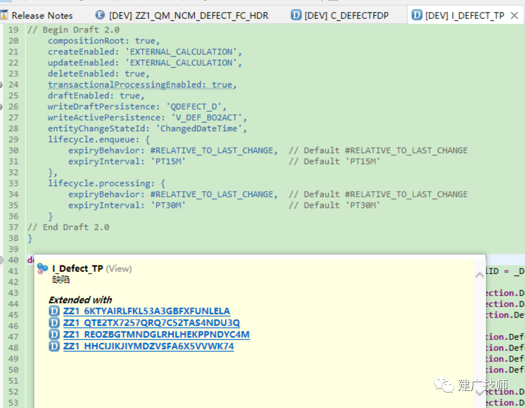 Fiori Customer Fieldsand Logic 扩展实施 - 封面图