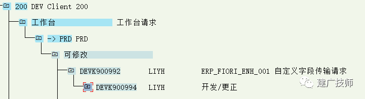 Fiori Customer Fieldsand Logic 扩展实施 - 封面图