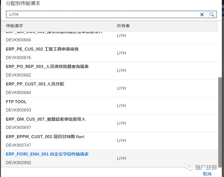 Fiori Customer Fieldsand Logic 扩展实施 - 封面图