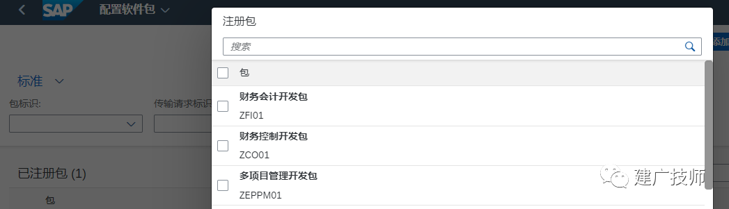 Fiori Customer Fieldsand Logic 扩展实施 - 封面图