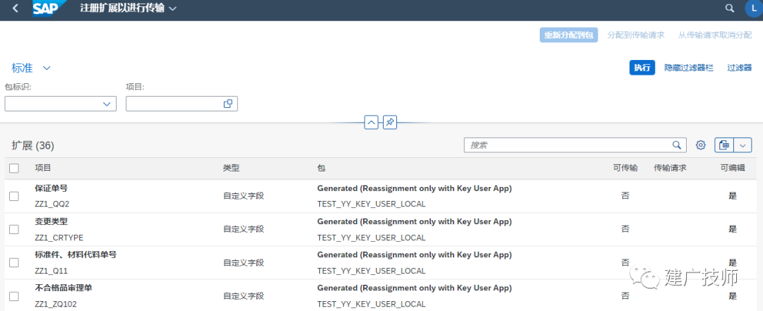 Fiori Customer Fieldsand Logic 扩展实施 - 封面图