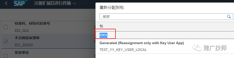 Fiori Customer Fieldsand Logic 扩展实施 - 封面图