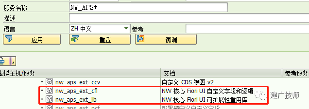 Fiori Customer Fieldsand Logic 扩展实施 - 封面图
