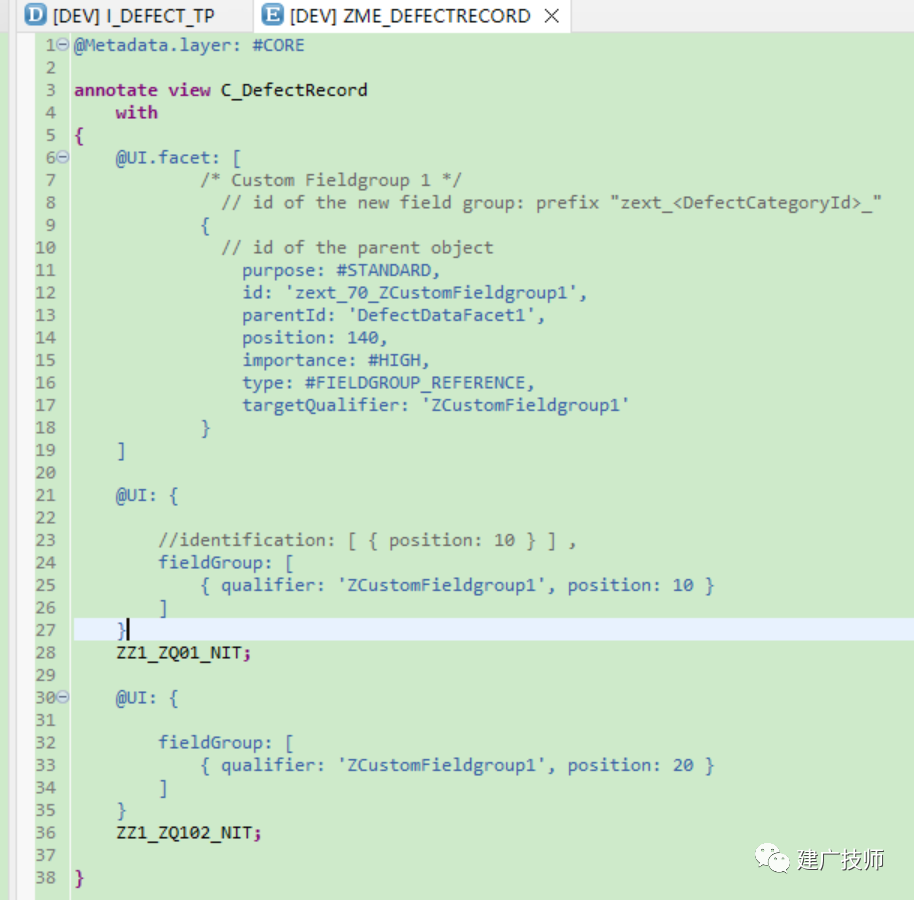 Fiori Customer Fieldsand Logic 扩展实施 - 封面图