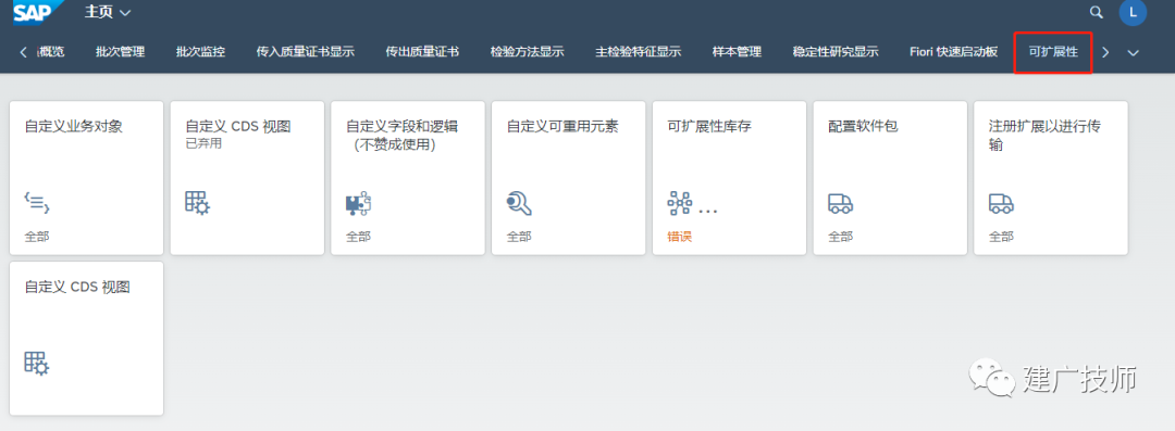 Fiori Customer Fieldsand Logic 扩展实施 - 封面图