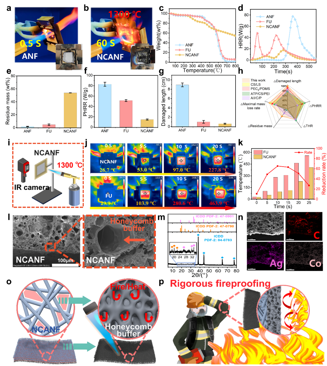 碳纤维，预氧丝，芳纶，PTFE，聚丙烯腈