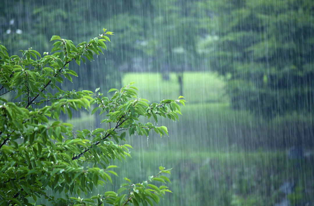 除湿袋装的是什么_除湿袋真的有用吗知乎_除湿袋真的有用吗