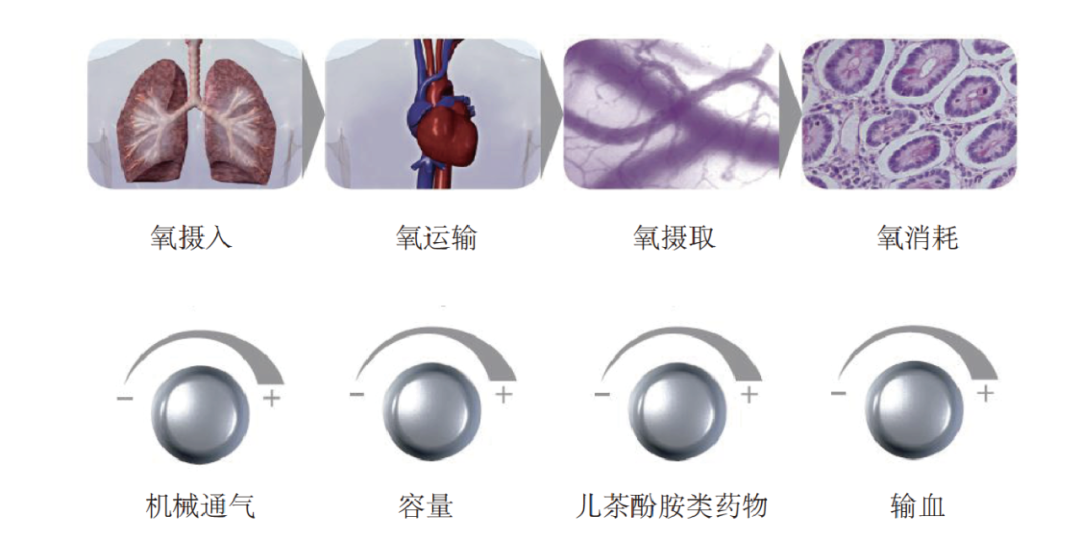 gedr系统是什么【概念梳理】临床血流动力学监测-上海聚慕医疗器械有限公司