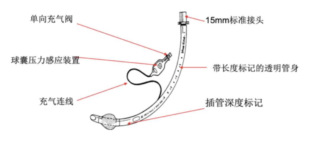 气管插管的管是什么气管插管那些事，一文帮你搞定_https://www.jmylbn.com_新闻资讯_第1张