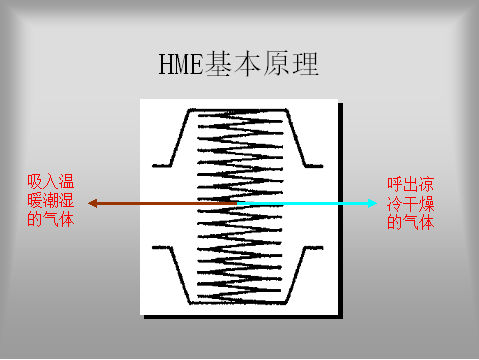 人工鼻怎么使用人工鼻的应用和护理，一文读懂！_https://www.jmylbn.com_新闻资讯_第3张