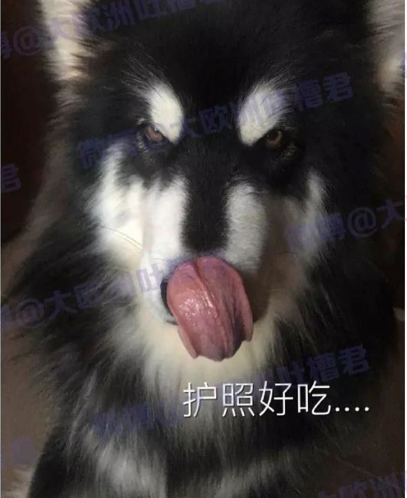 快查护照！出了这些问题，让你回不了国！还影响你出入境（组图） - 59
