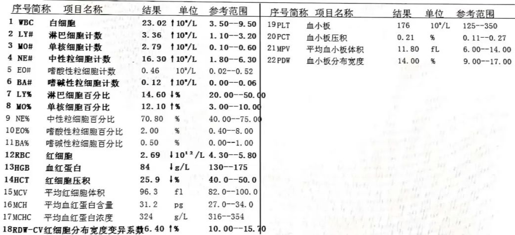 慢性粒-单核细胞白血病合集（2）