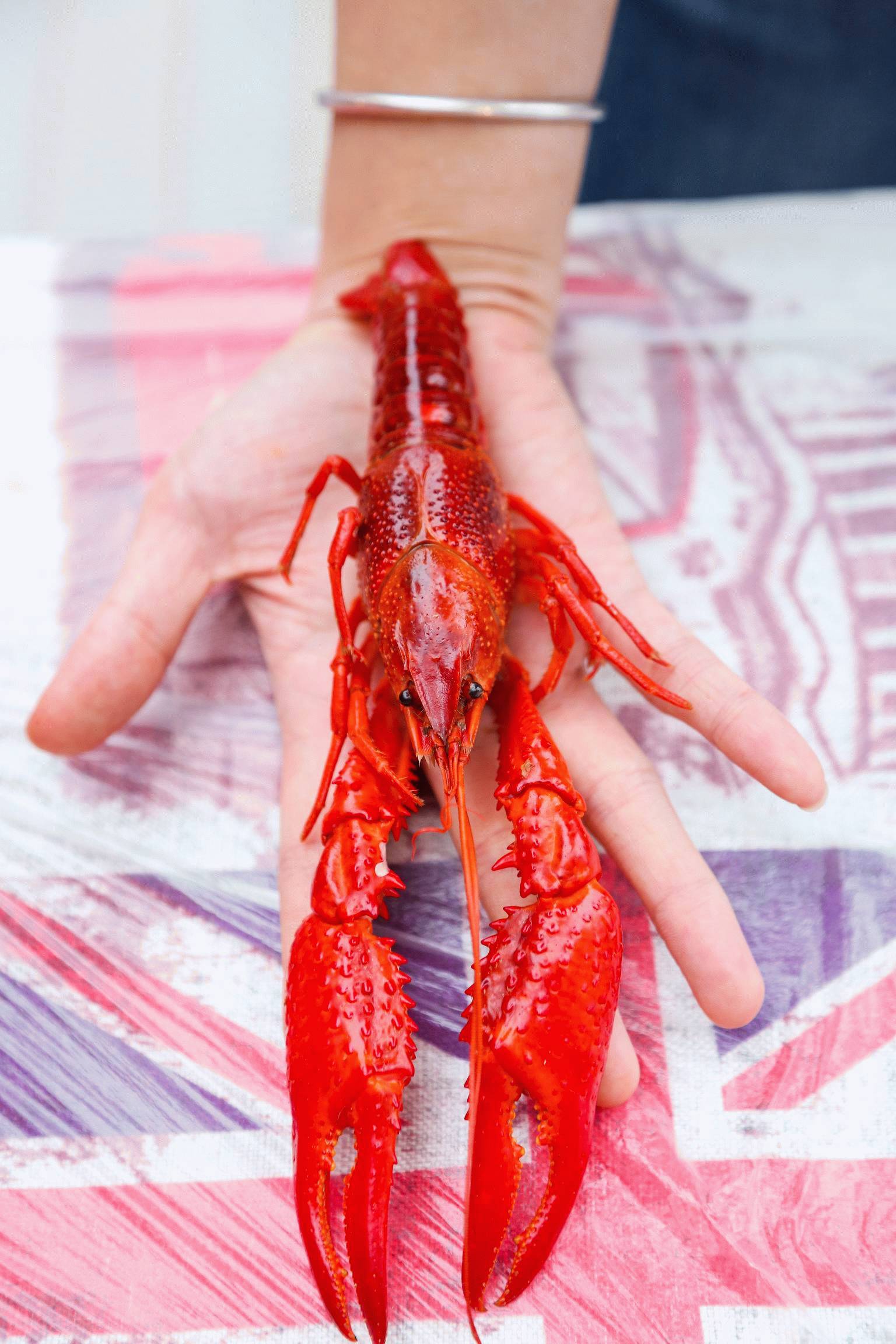 2017成都潮生活小龙虾节 | 每天上千吃货都奔着这2400平的院坝而来