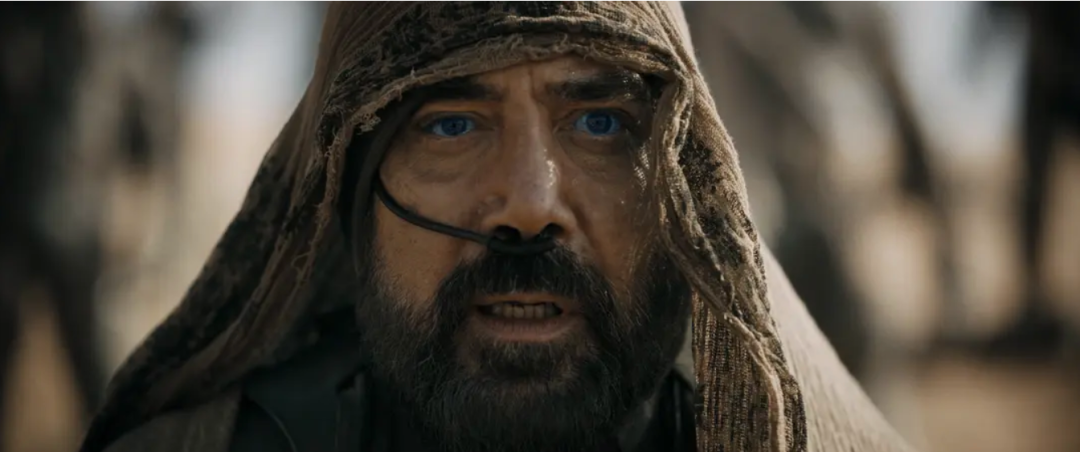 好莱坞开年最高分大片能成为下一个爆款吗