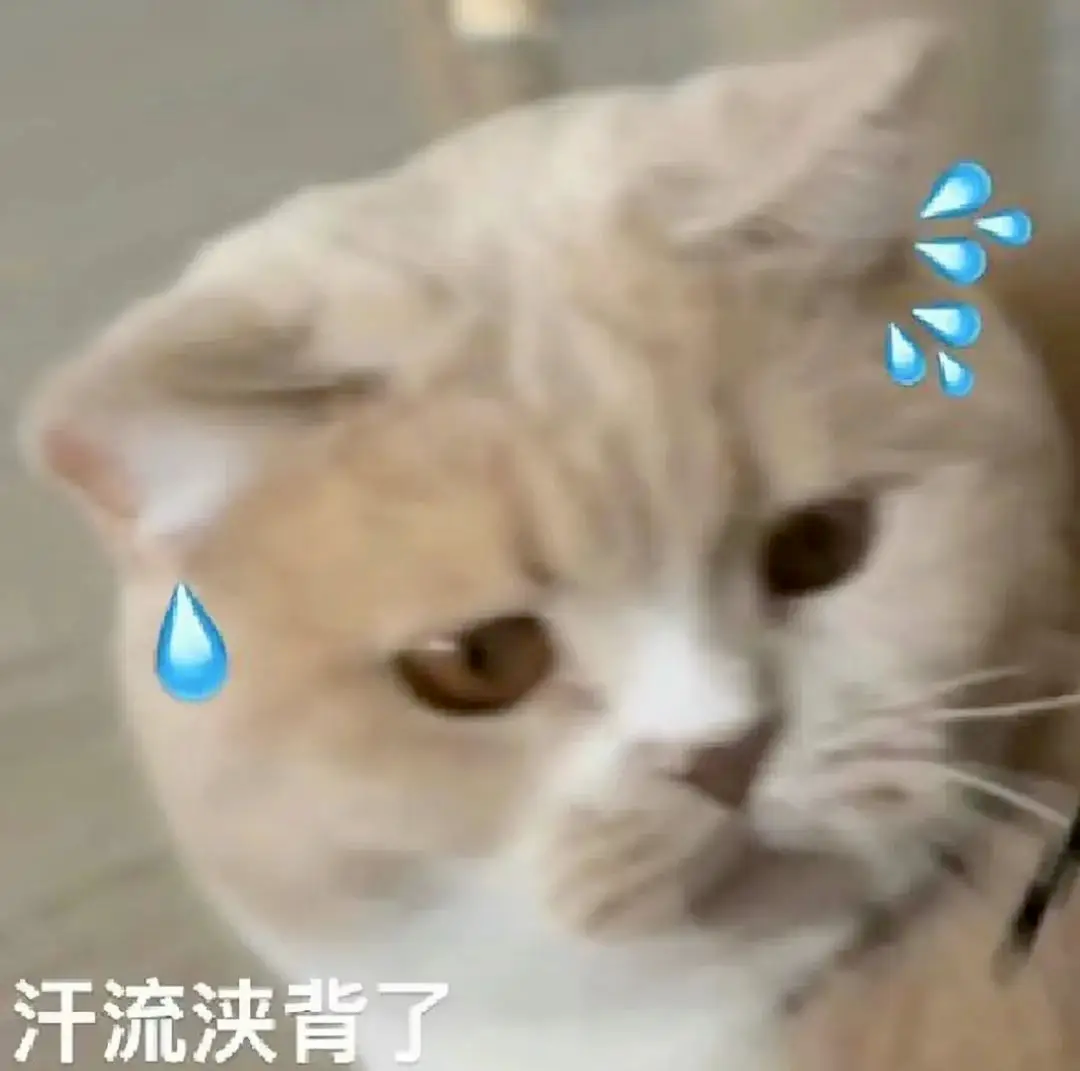 果然留子一出手就是王炸