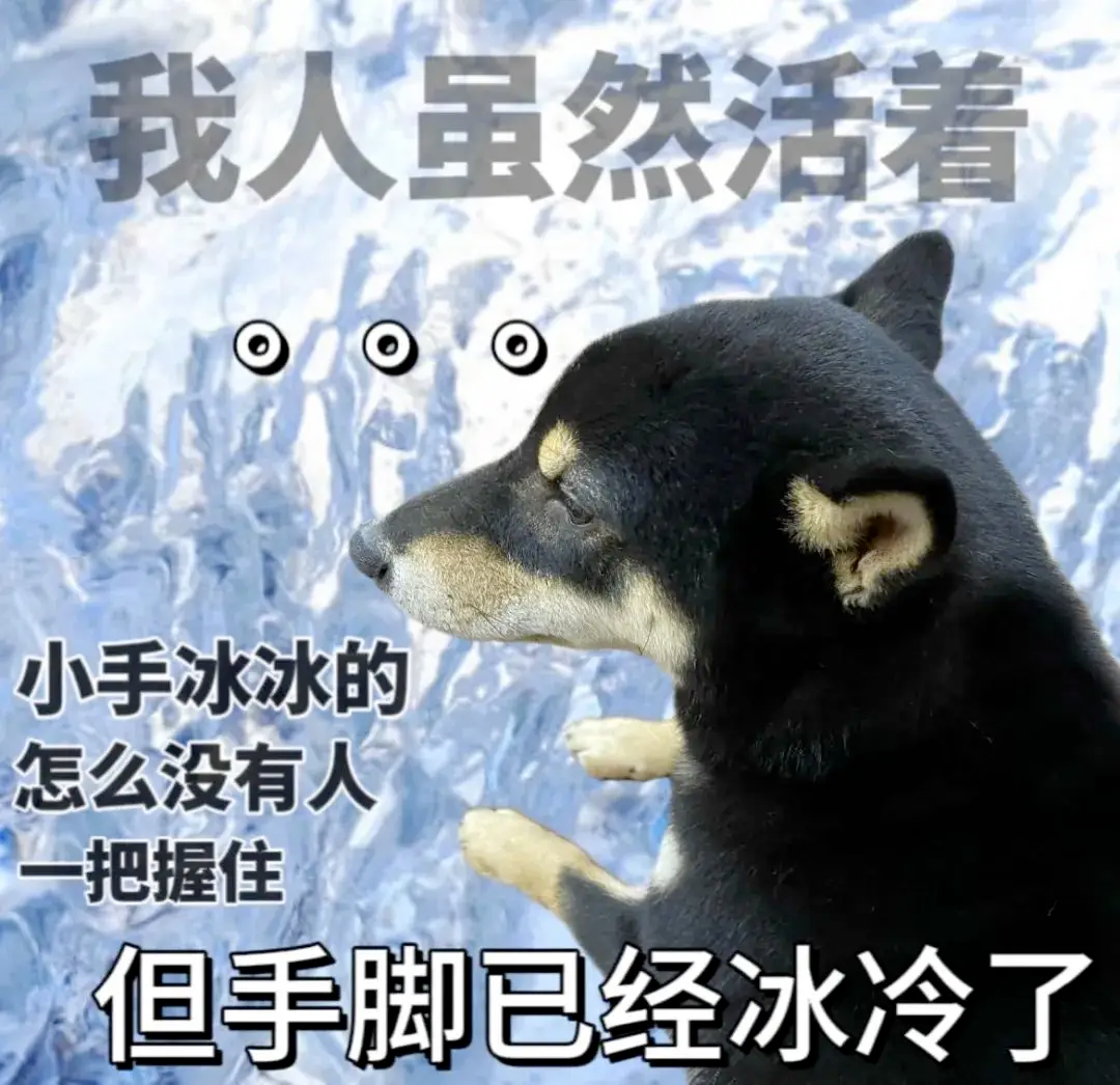 果然留子一出手就是王炸