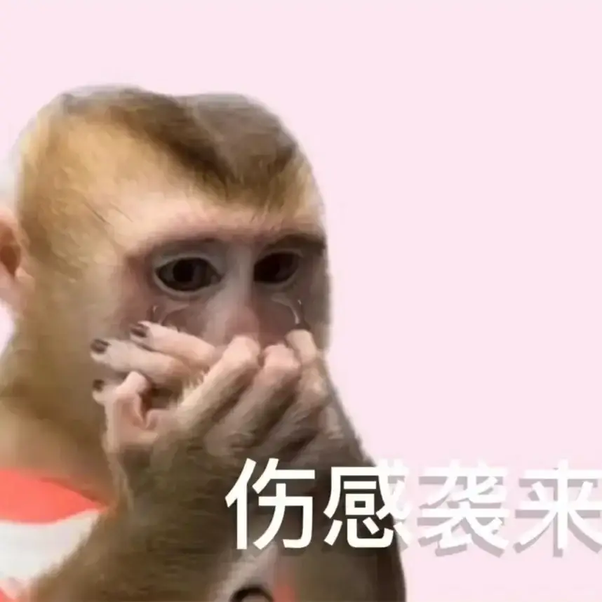 果然留子一出手就是王炸