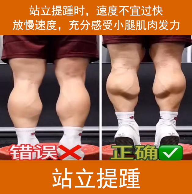 难下蹲大象腿怎么办？n小腿知多少？（上）