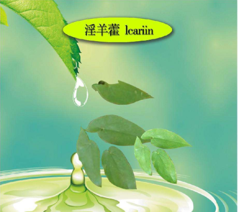 霪羊霍的功效与作用淫羊藿有哪些食用方法