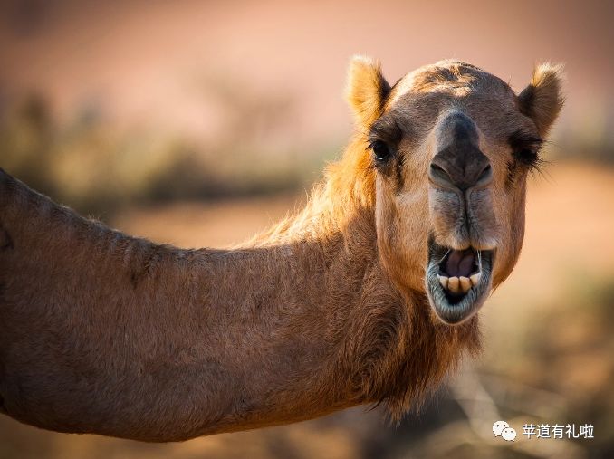 平面设计自学资源整合【附带资源】