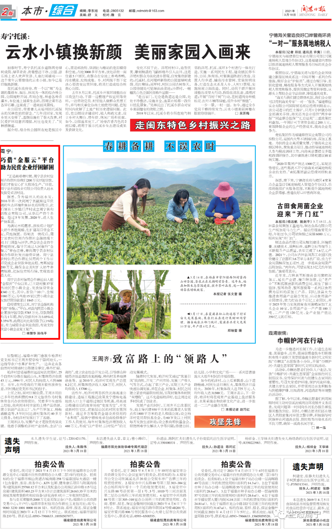 生态周宁 自由微信 FreeWeChat