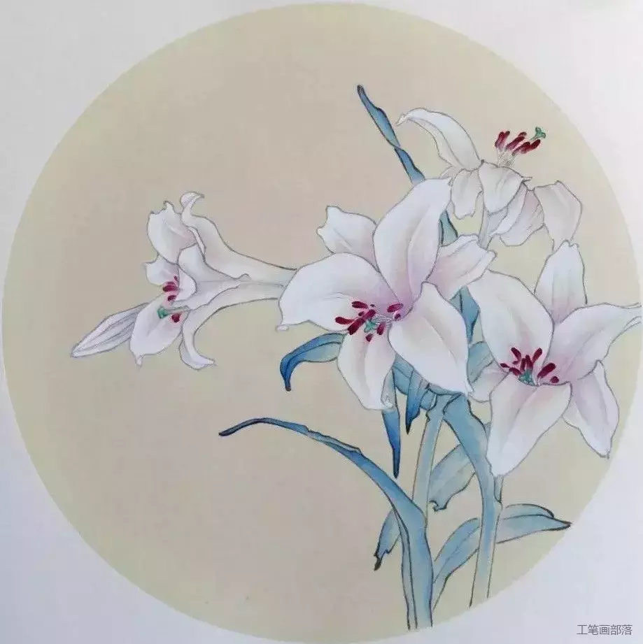 工笔 百合花 绘制步骤示范 全网搜