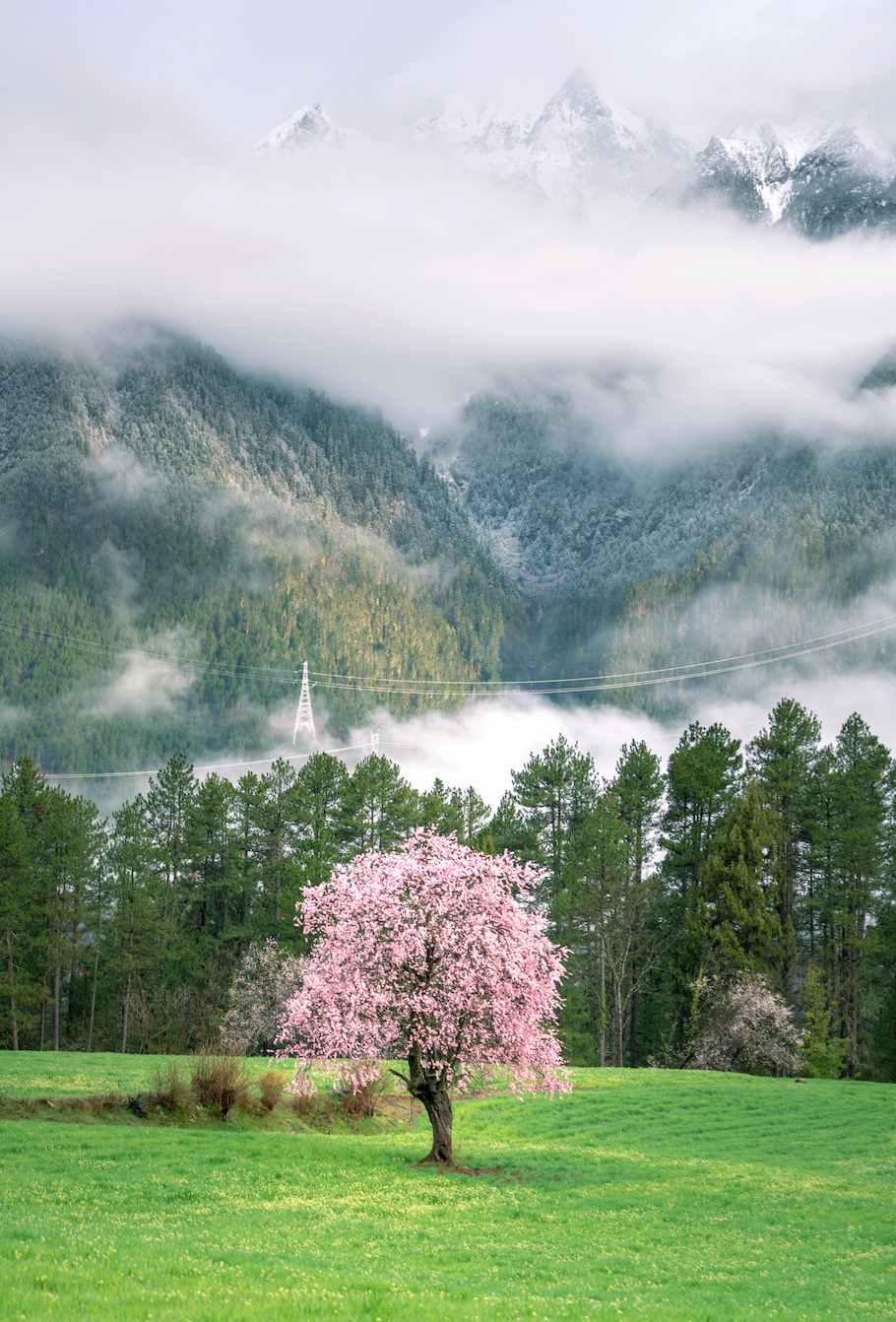 挖到一处桃源秘境，多次登榜《国家地理》春日必去！