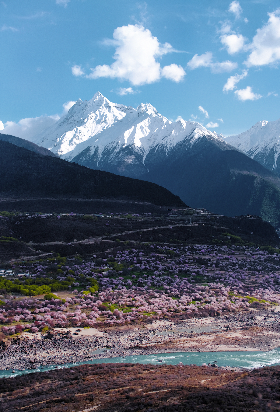 挖到一处桃源秘境，多次登榜《国家地理》春日必去！