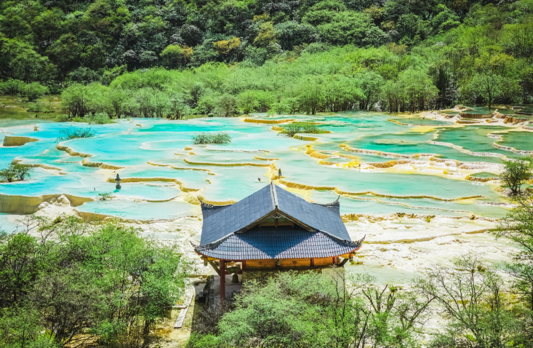 把湖泊森林草原看遍，它才是名副其实的秋景天花板！