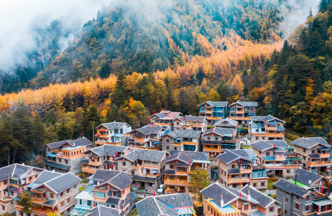 把湖泊森林草原看遍，它才是名副其实的秋景天花板！