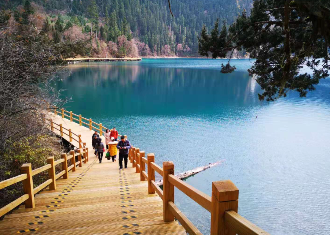 把湖泊森林草原看遍，它才是名副其实的秋景天花板！