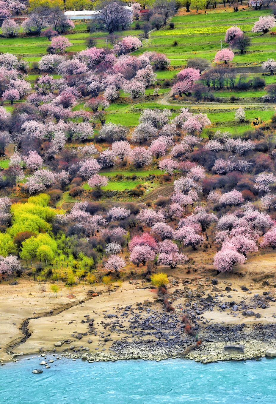 挖到一处桃源秘境，多次登榜《国家地理》春日必去！
