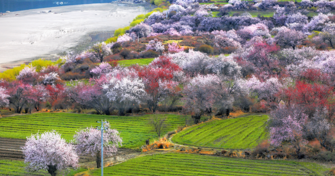 挖到一处桃源秘境，多次登榜《国家地理》春日必去！