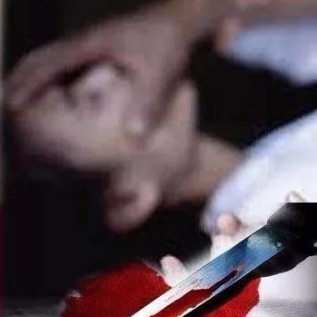 目睹母亲被性侵！12岁少年谋划复仇，6年后当街刺杀仇人...