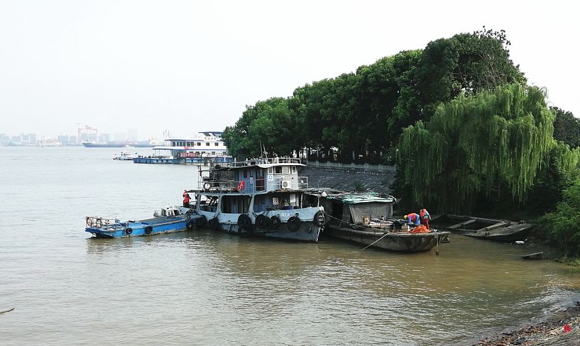 江阴交通运输局联合行动清除韭菜港公园违停船舶
