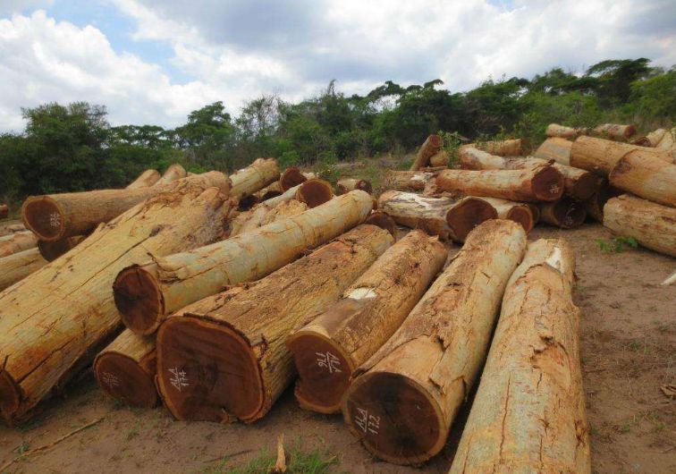 买红木家具,真的是木头越重越好?