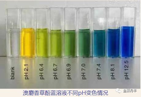 检验二氧化碳溴麝香草酚蓝 检验二氧化碳溴麝香草酚蓝 热啊网