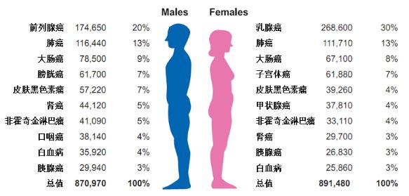 重磅！神刊CA發布2019美國癌症數據概覽 健康 第5張