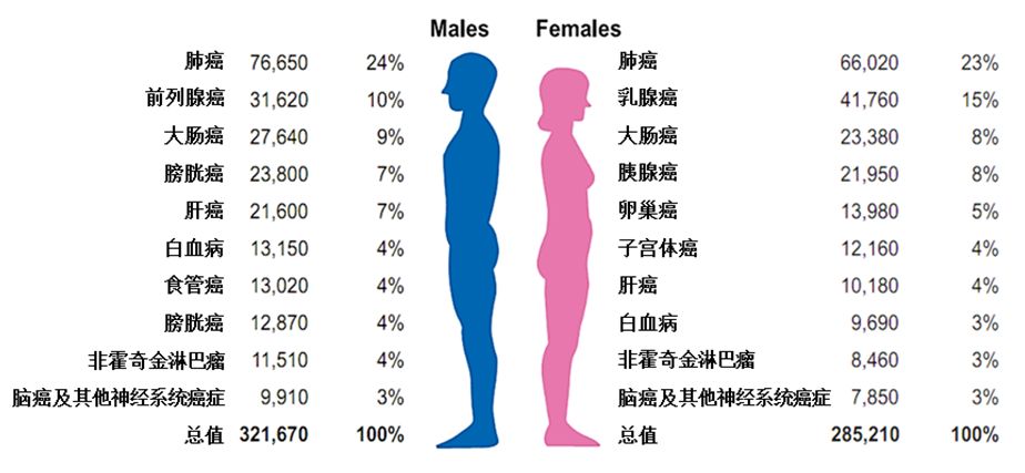 重磅！神刊CA發布2019美國癌症數據概覽 健康 第6張