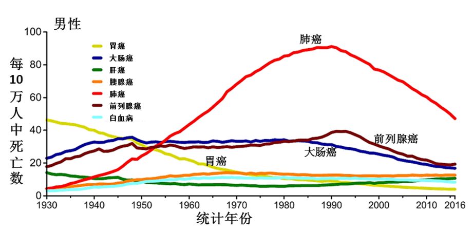 重磅！神刊CA發布2019美國癌症數據概覽 健康 第12張