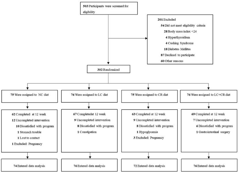 FitQ水母健康-生酮饮食