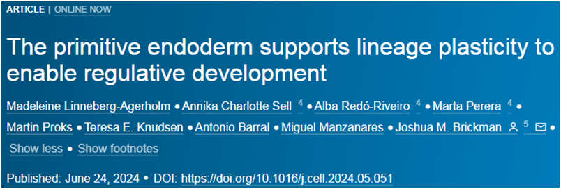 640_wx_fmt=png&from=appmsg&tp=webp&wxfrom=5&wx_lazy=1&wx_co=1.webp (22).jpg