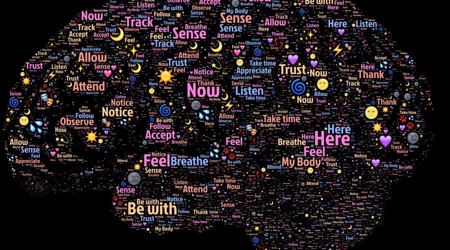 紧追中国“脑科学计划”，中国脑科学正在解决哪些困扰？