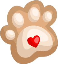 女性大量脱发的原因究竟是什么